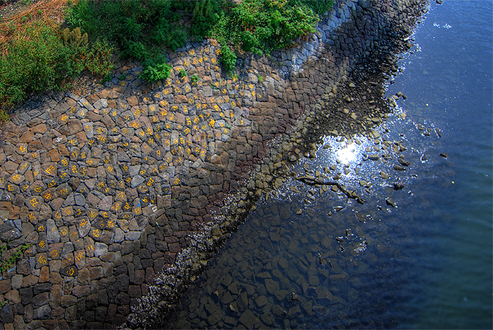 ginza odaiba photowalk numbered rocks